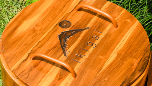 Teak ice bath hotel Indonesia solution for resorts, gyms, spas, and hospitality wellness amenities.